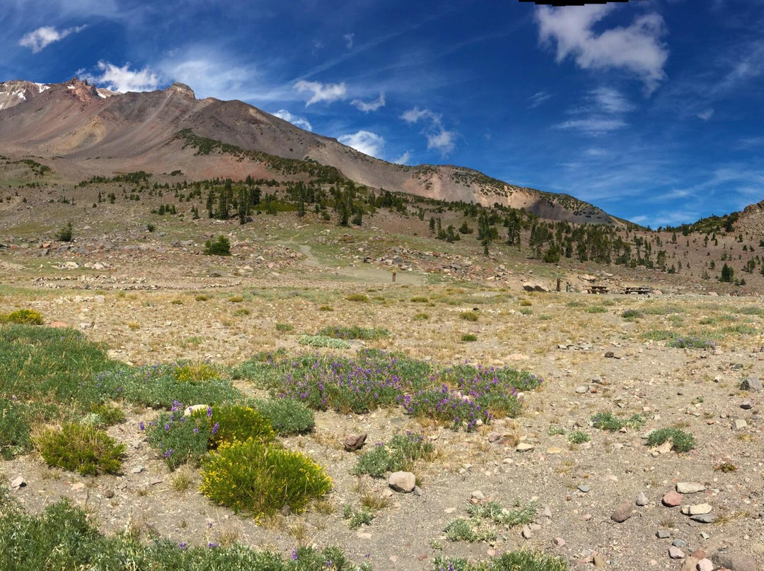 Mount Shasta景点图片