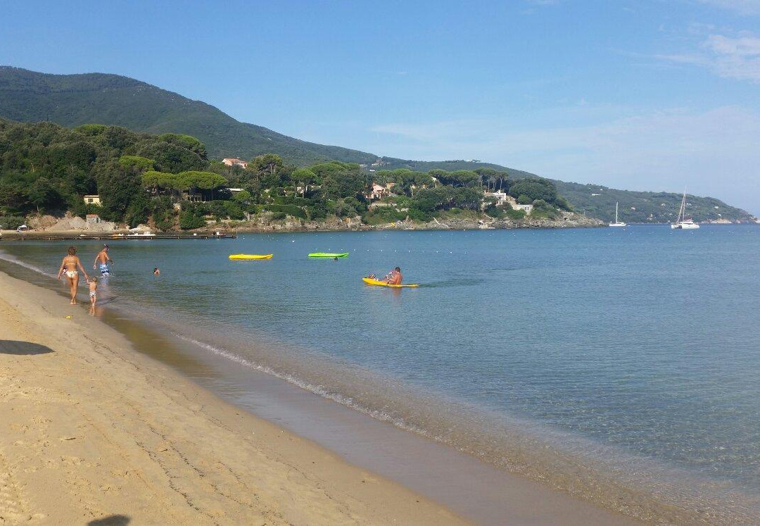 Procchio Beach景点图片