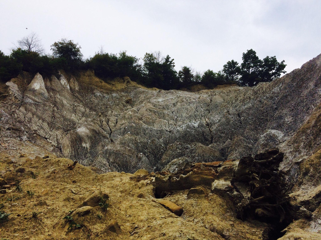 Salt Canyon景点图片