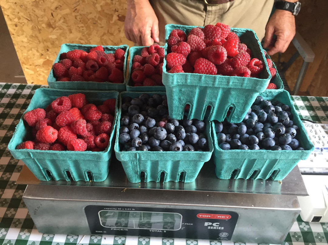 Berryhill Farm-Xenia必去景点