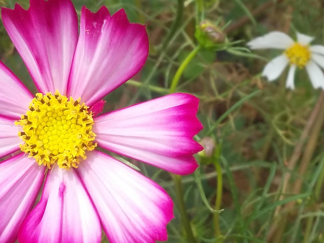 八角寨-新宁县必去景点
