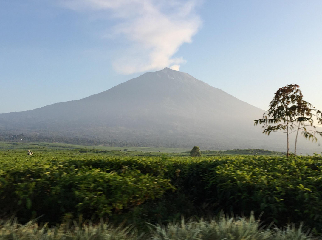 Mount Kerinci-占碑必去景点