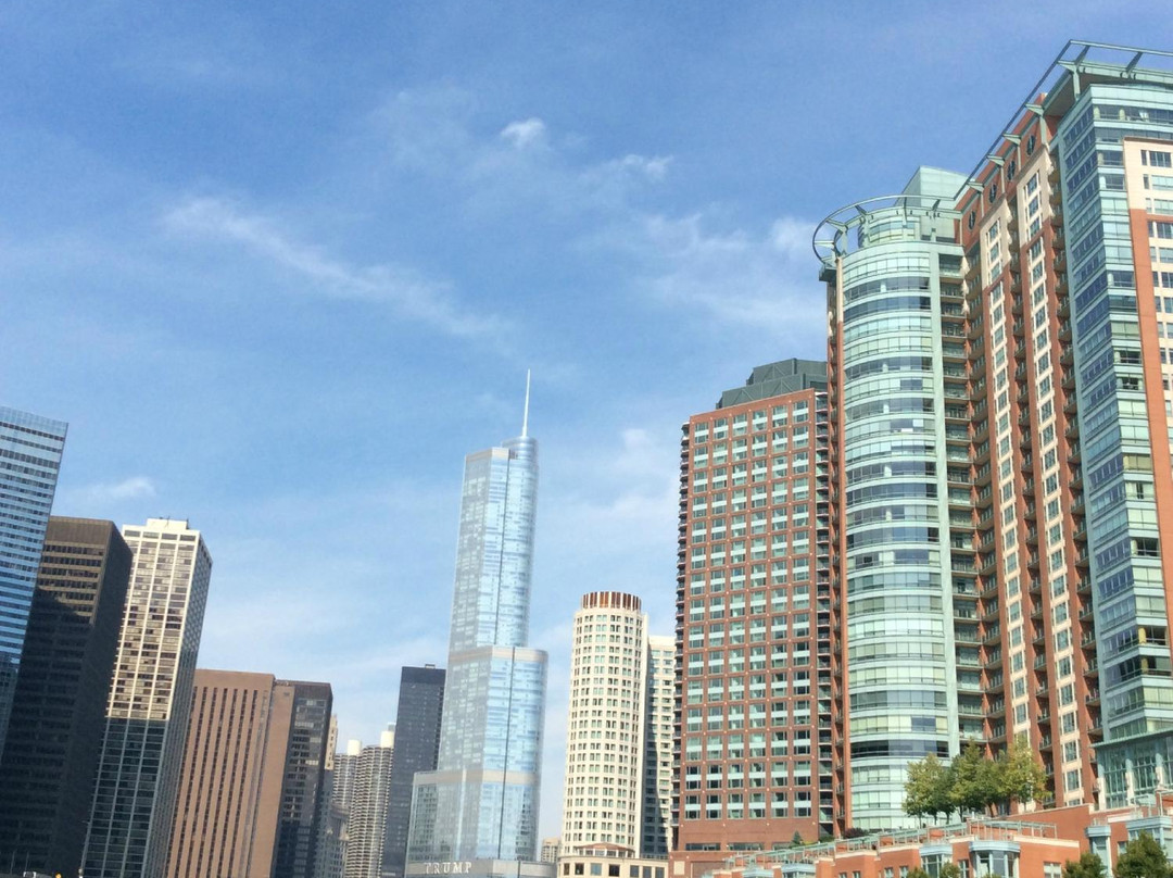 Chicago from the Lake Ltd-芝加哥必去景点