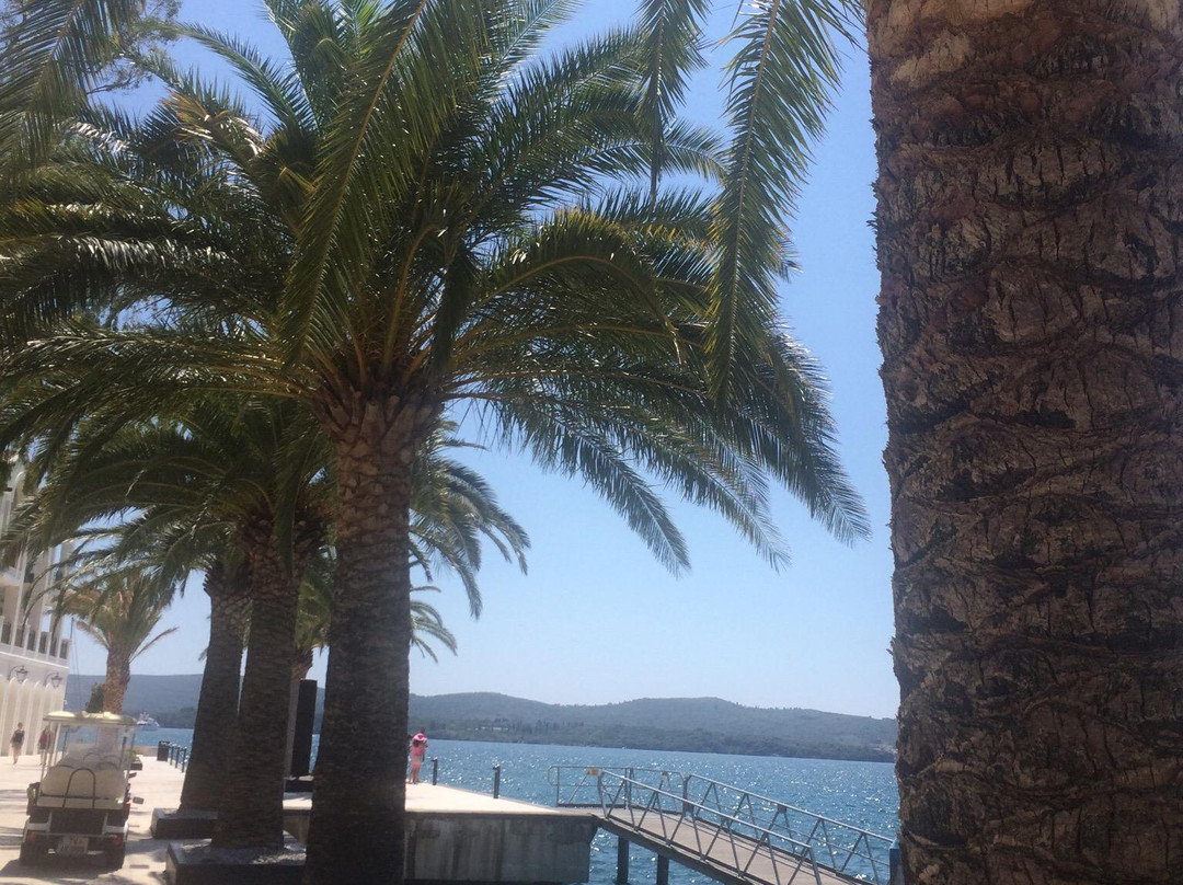 Porto Montenegro-Tivat Municipality必去景点