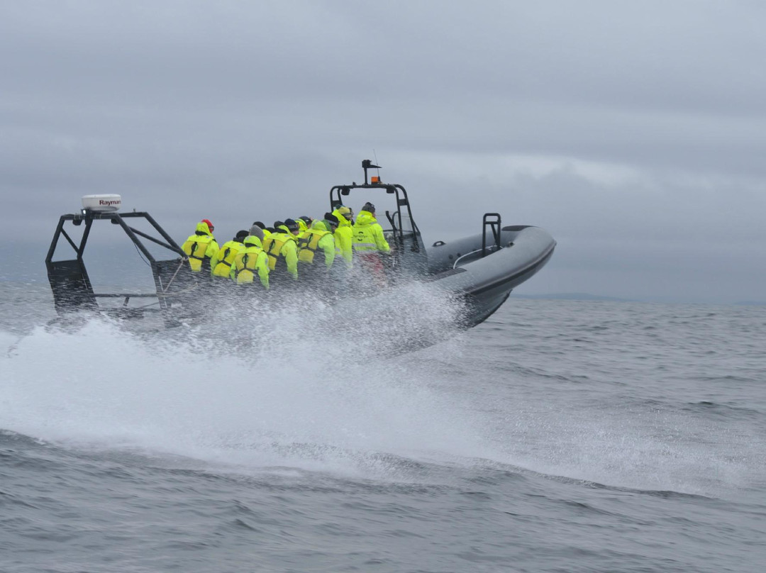 Fyr til Fyr-Tonsberg必去景点