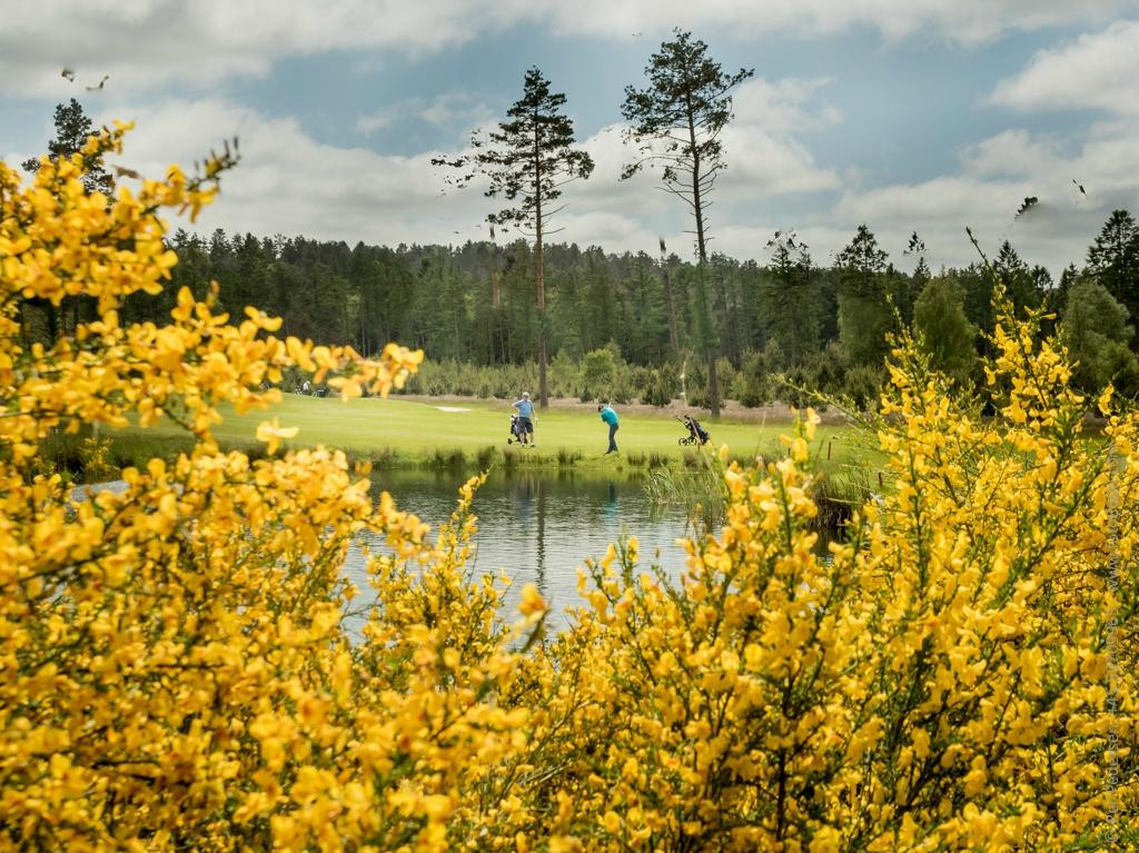 Silkeborg Golf Club景点图片