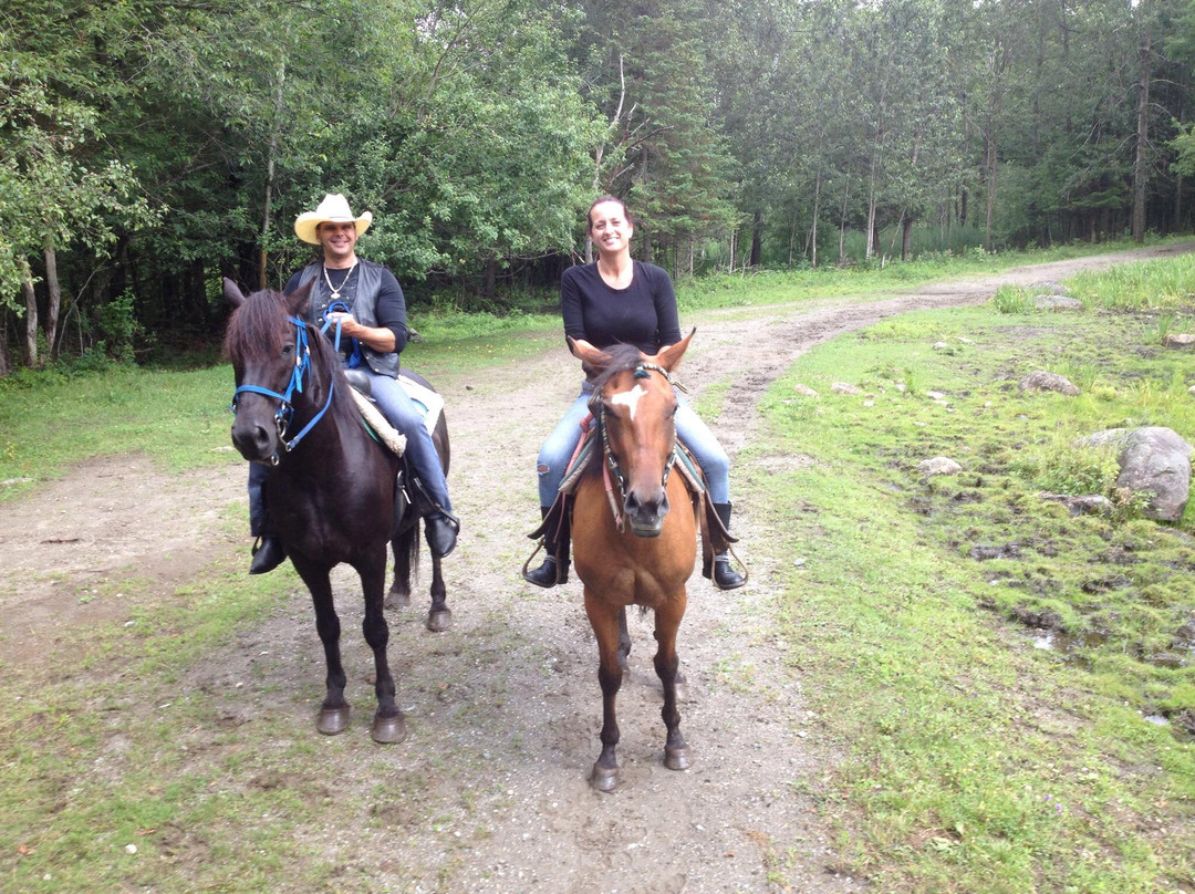 Equitation Orford-Orford必去景点