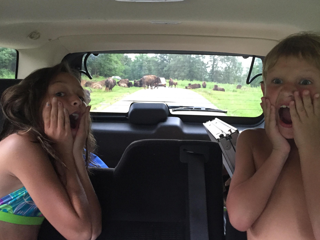 Land Between The Lakes National Recreation Area-Golden Pond必去景点