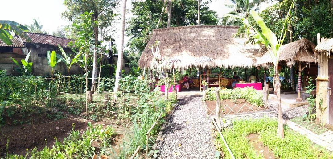 Herb Walk-邦利必去景点