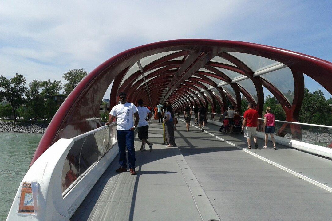 Peace Bridge-卡尔加里必去景点