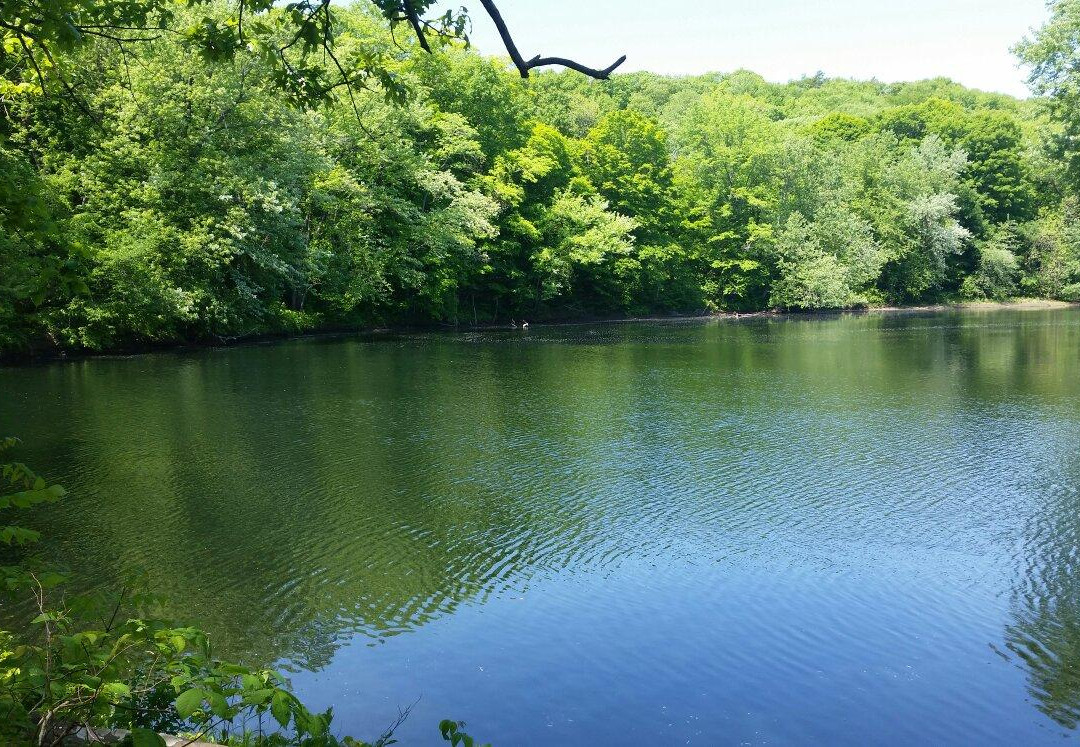 Robinson State Park-Agawam必去景点