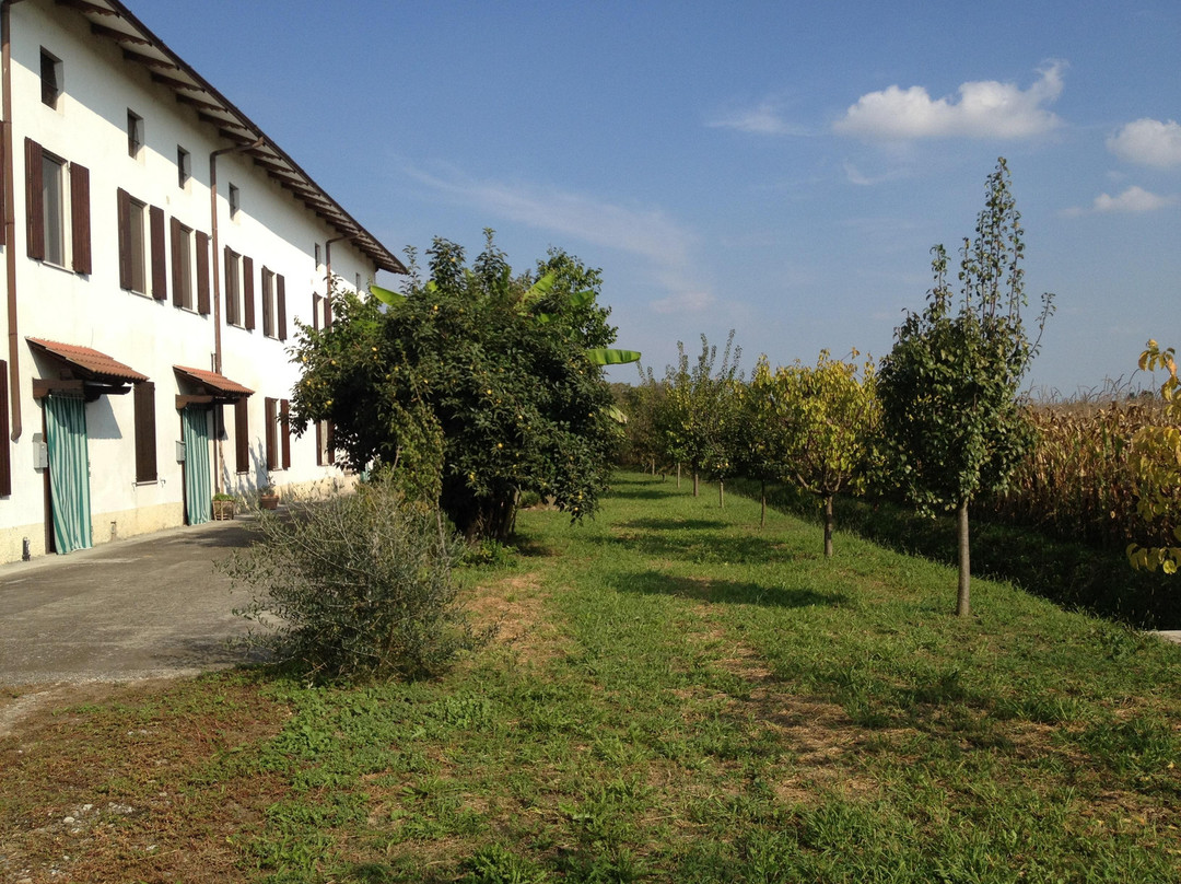Napolus B&B