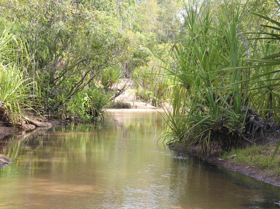 Tjuwaliyn (Douglas) Hot Springs Park-Douglas-Daly必去景点