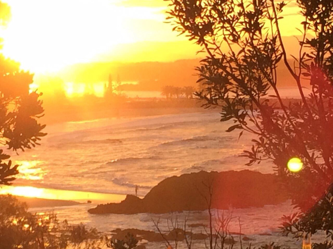 海边漫步-麦克夸利港必去景点