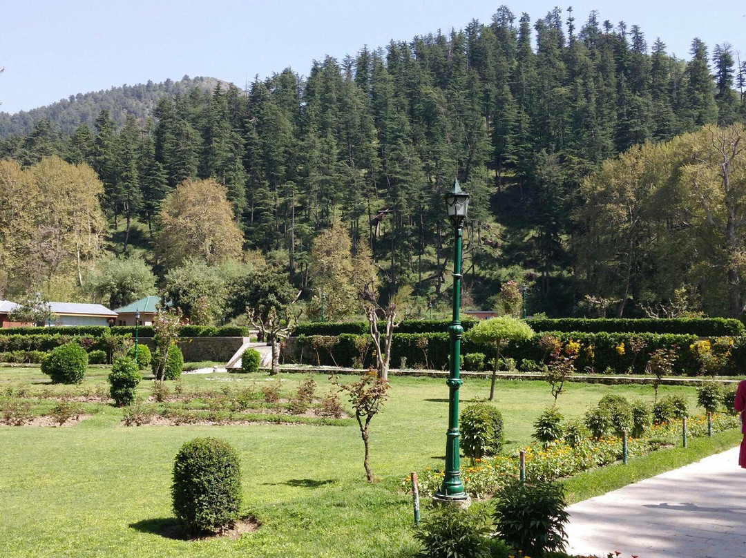 Achabal Garden-斯利那加必去景点