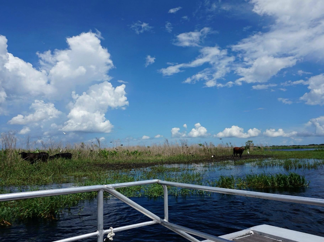 St. Johns River Wildlife Tours景点图片
