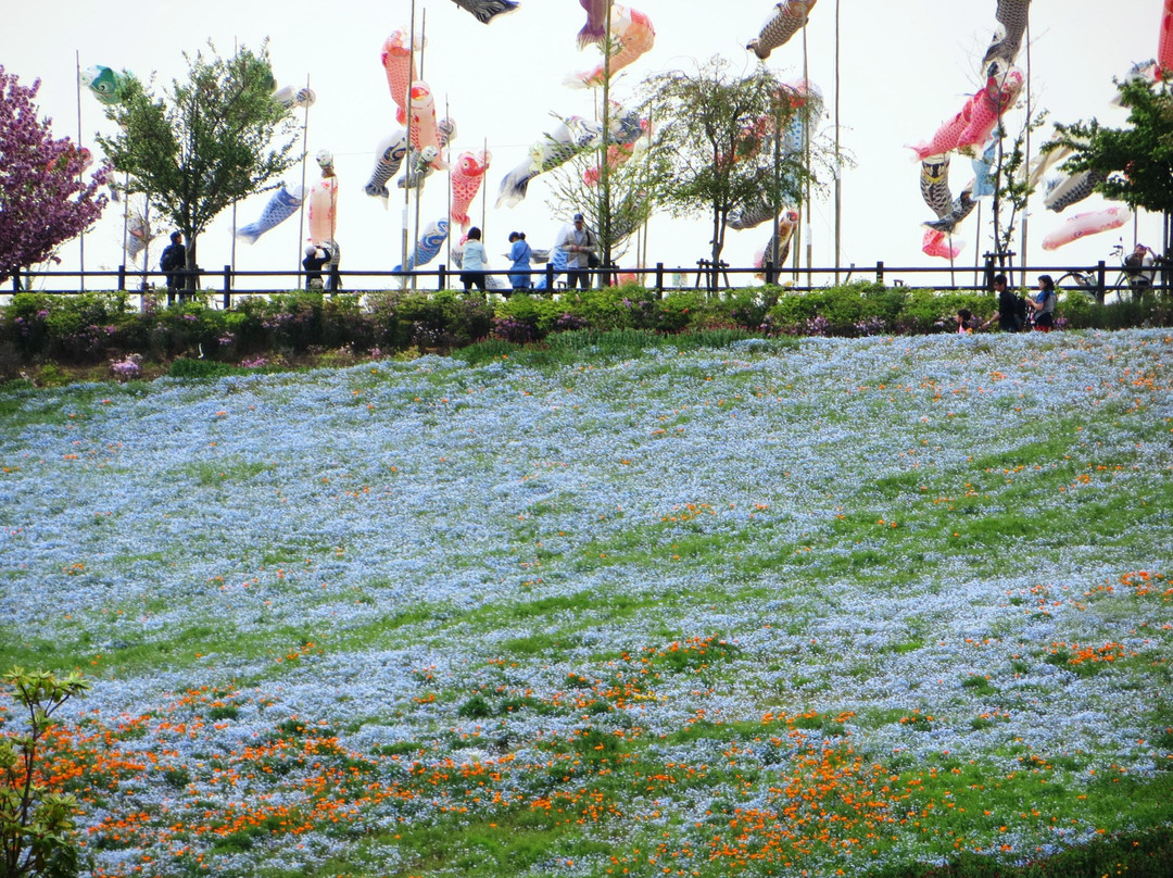 Ota City Hokubu Undo Park-太田市必去景点