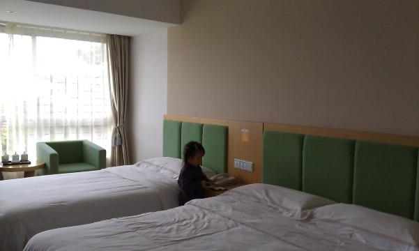 维也纳智好酒店（庐山风景名胜区店）-客卧