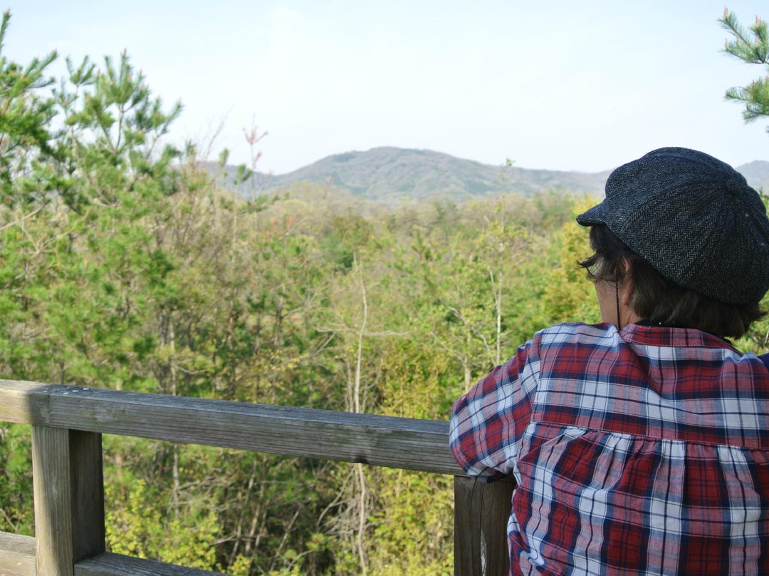 Mie-ken Ueno Forest Park景点图片