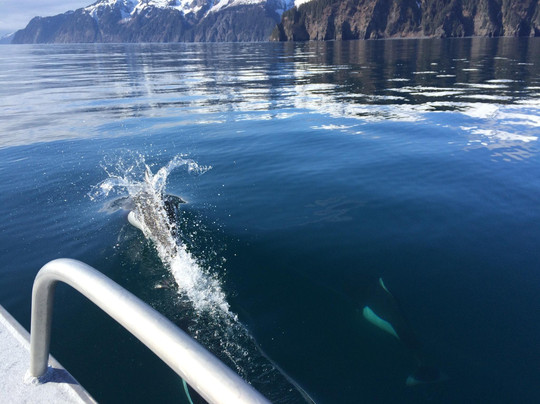 Northern Latitude Adventures-苏厄德必去景点