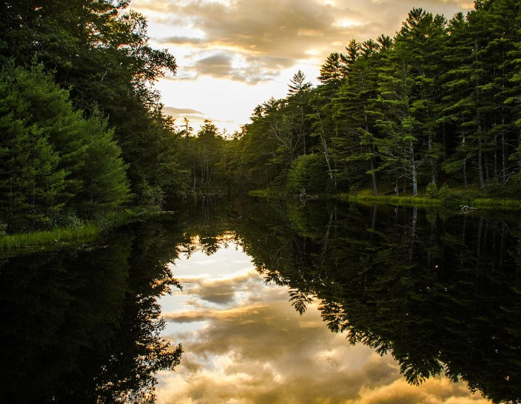 Swan Island Wildlife Management Area-Richmond必去景点