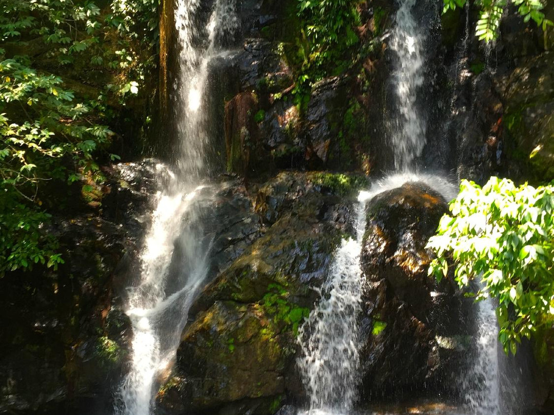 Yayas Falls景点图片