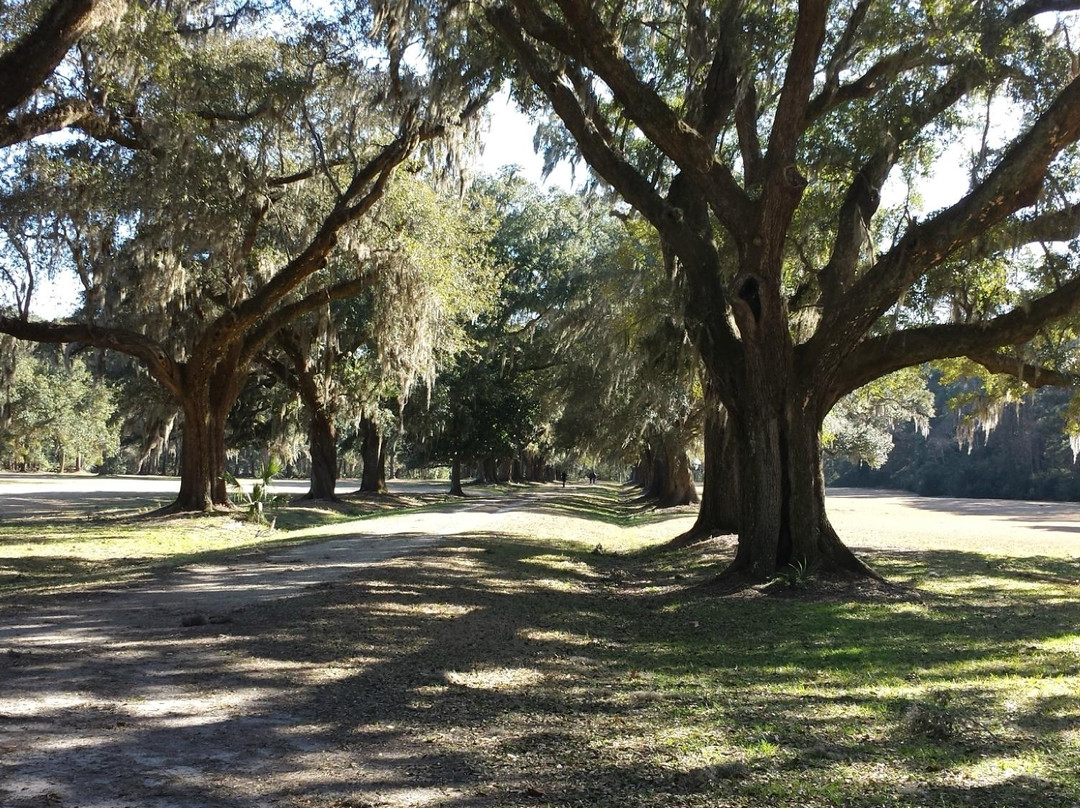 Laurel Hill County Park景点图片