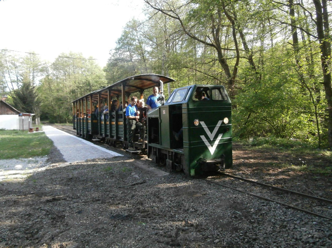 Kemence Forestry Museum Railway-Kemence必去景点
