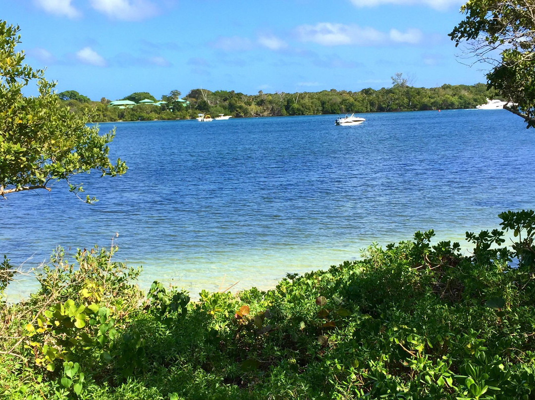 博卡拉顿旅游攻略图片