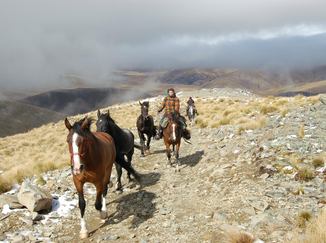 Adventure Horse Trekking NZ Ltd.景点图片