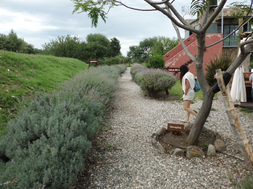 Sierra Pura-Luyaba必去景点