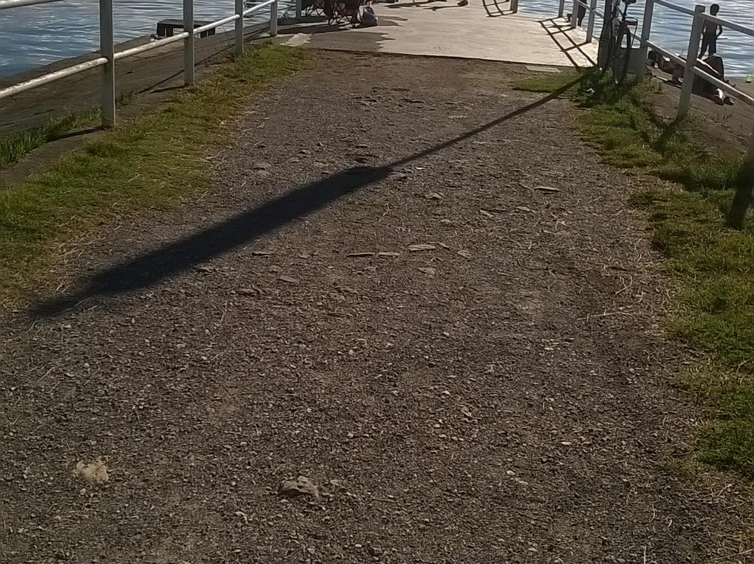 San Feliciano酒店住宿-La Casetta dei Cedri