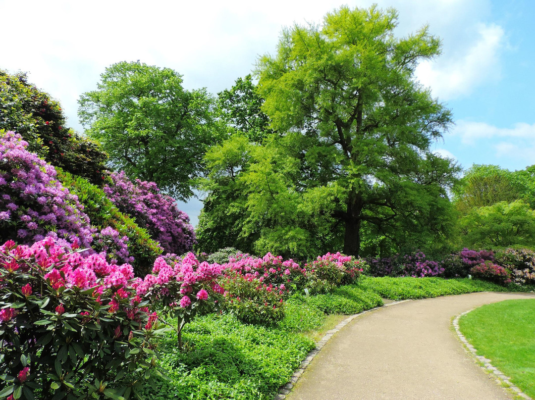 Jardin des Plantes景点图片