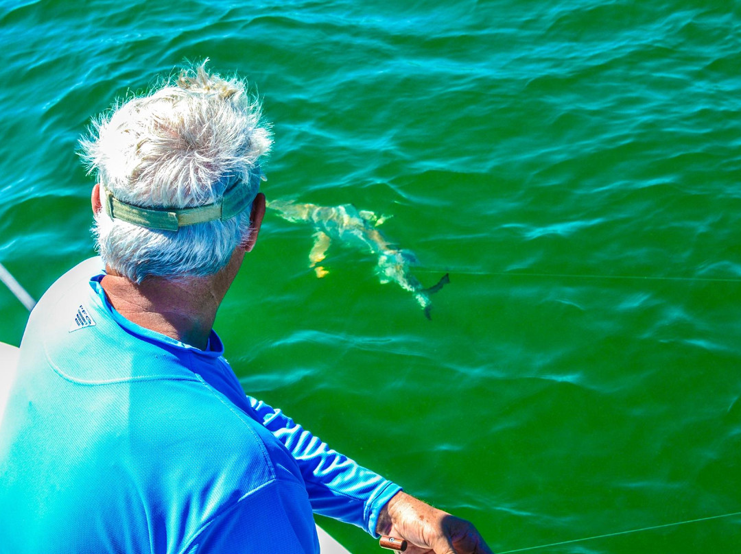 Reel Aggressive Fishing Charters-萨拉索塔必去景点