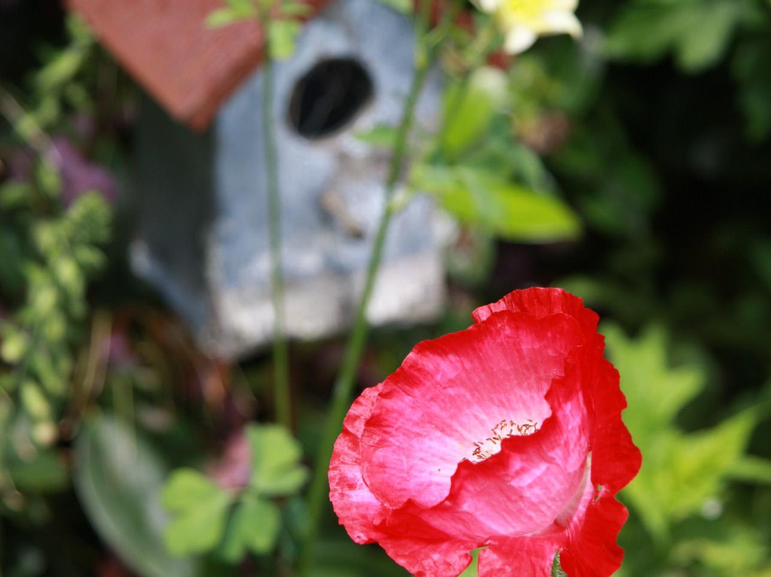 Finding Flavour-奥克兰中心地区必去景点