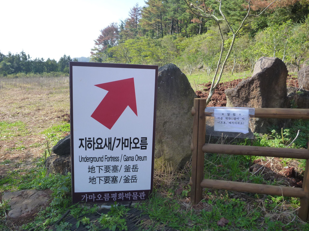 Jeju Museum of War History & Peace-济州必去景点