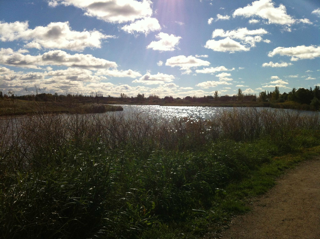AE Wilson Park-里贾纳必去景点