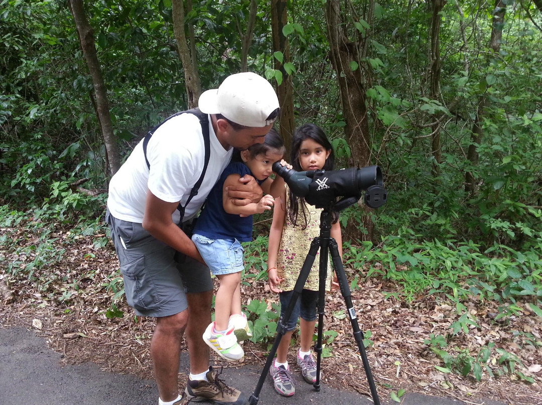 Costa Rica Green Life Tours景点图片