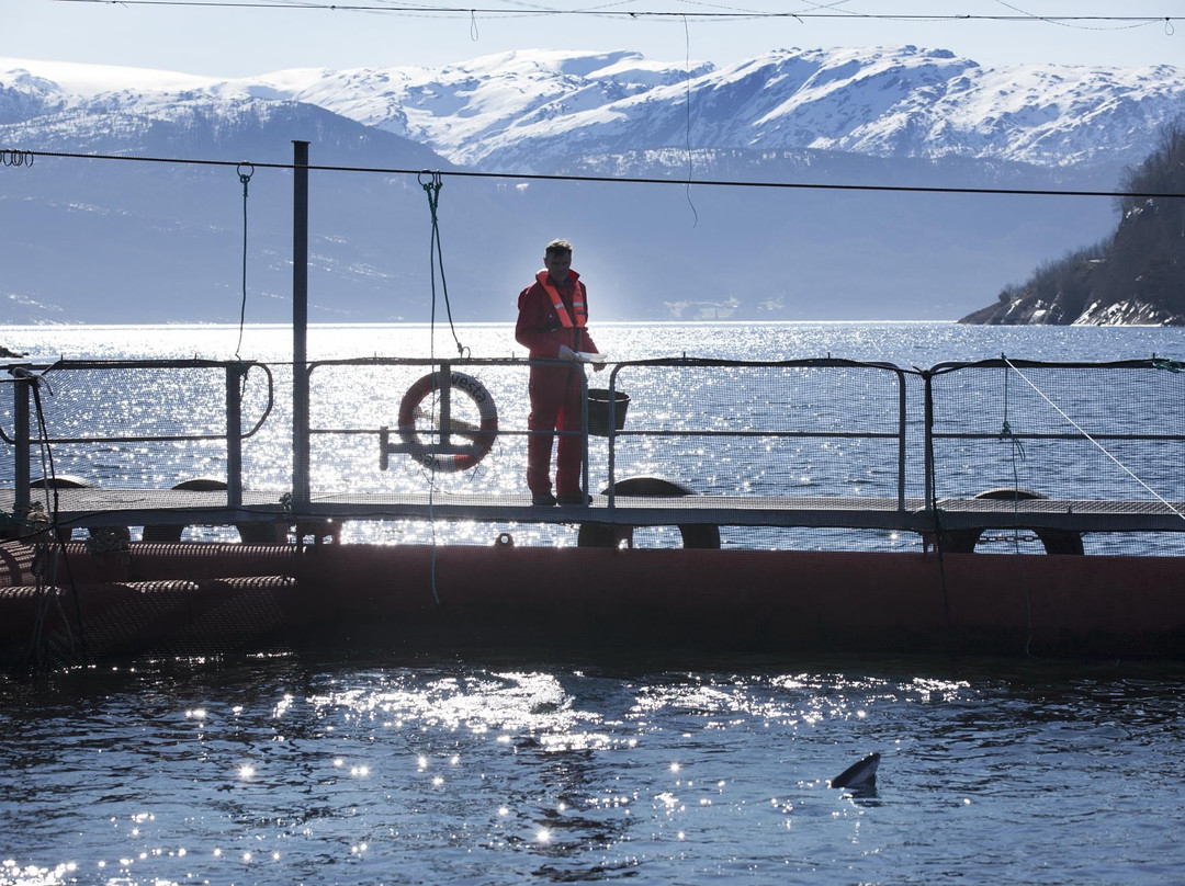 Hardanger Akvasenter-Steinsto必去景点