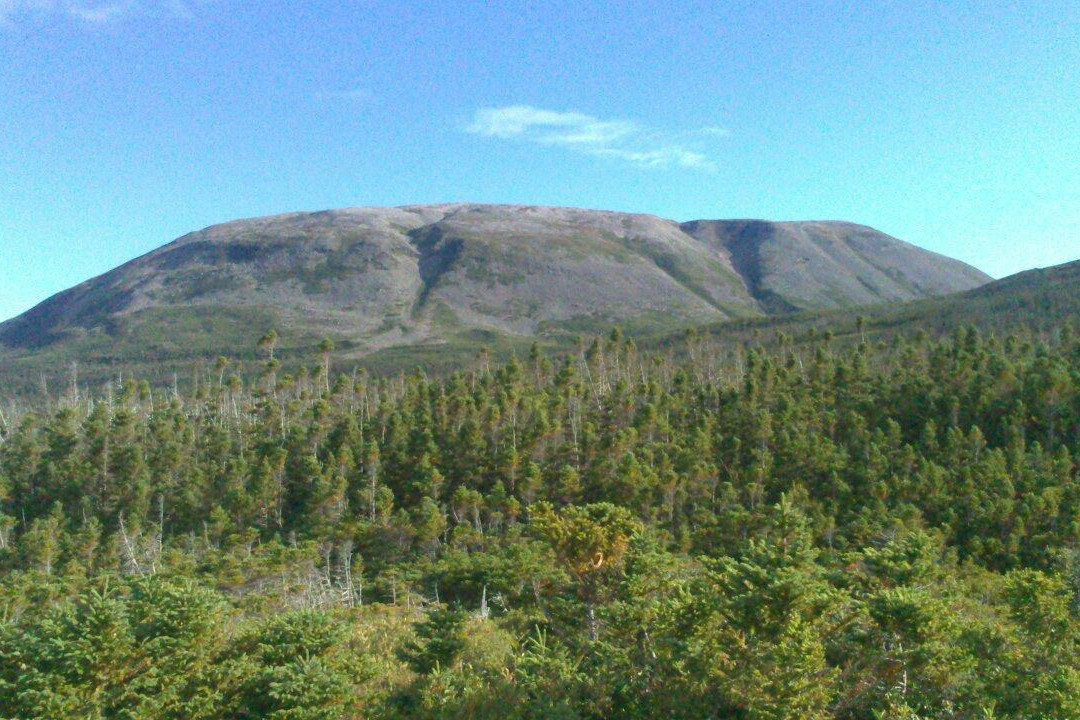 Gros Morne Mountain (James Callaghan) Trail景点图片