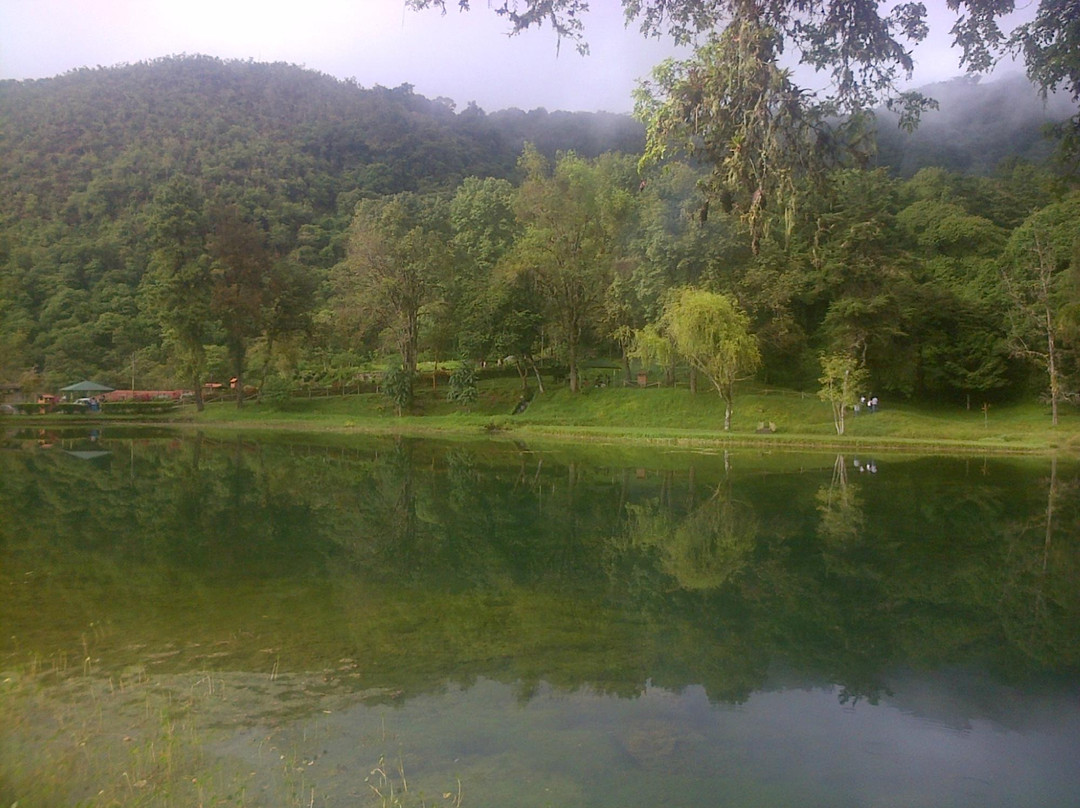 Laguna de los cedros景点图片