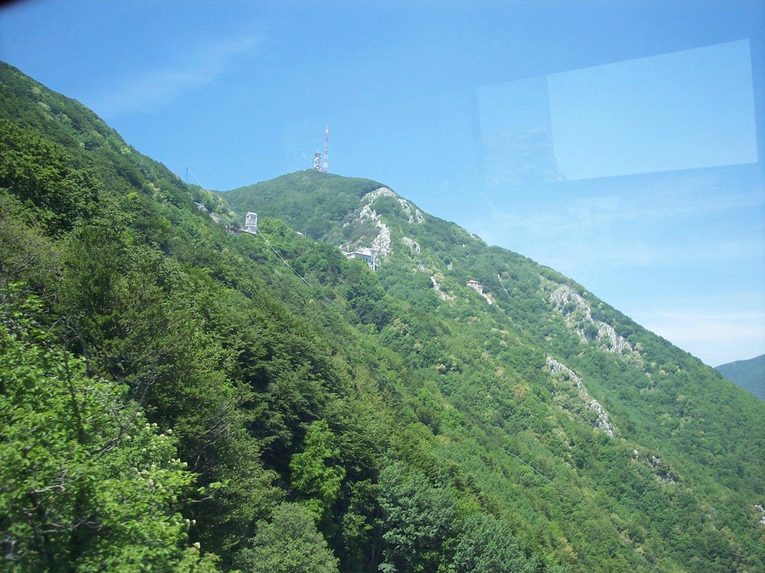 null-Mercogliano