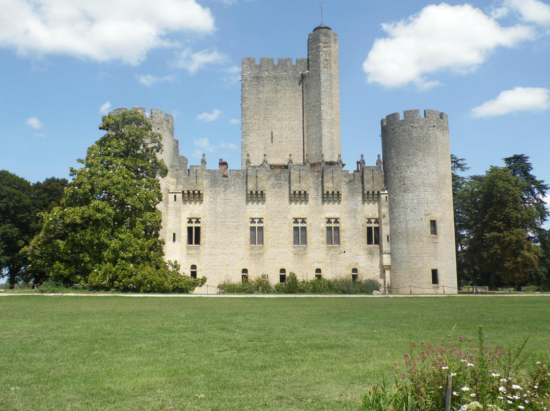 Chateau de Roquetaillade景点图片
