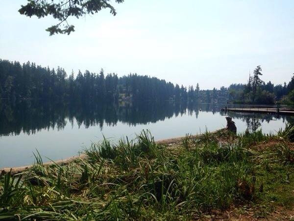 Lake Wilderness Arboretum-Maple Valley必去景点