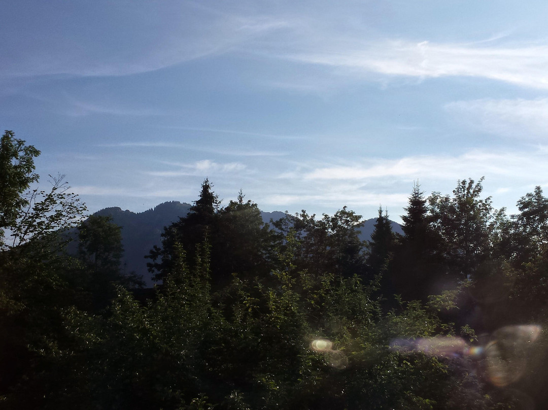 Gaestehaus Fellerhof主图