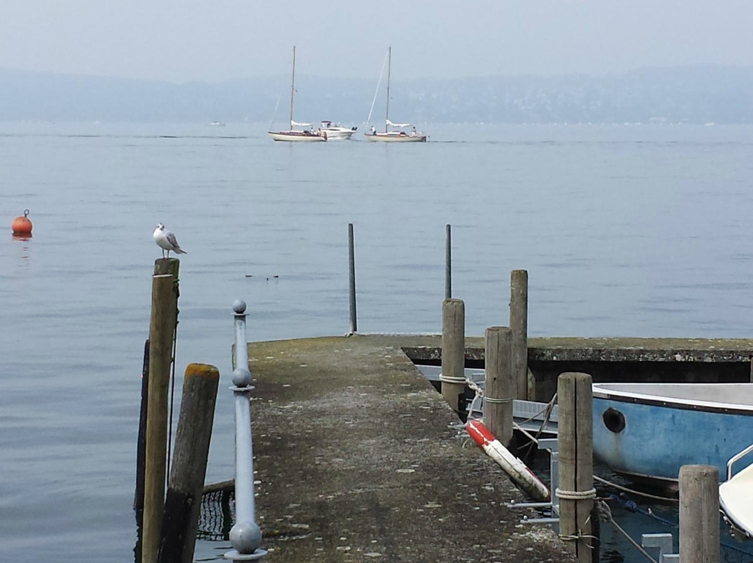 Fischerhaus Appartements主图