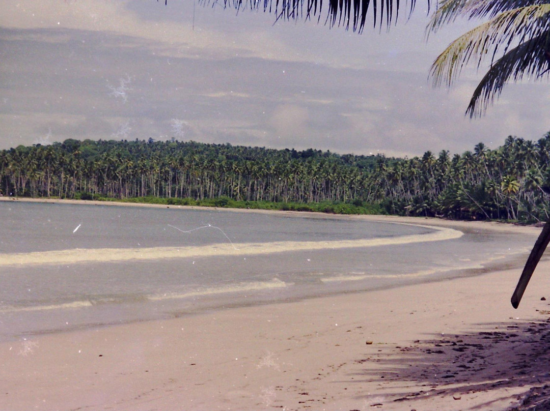 Lompat Batu (Fahombo)-Nias Island必去景点