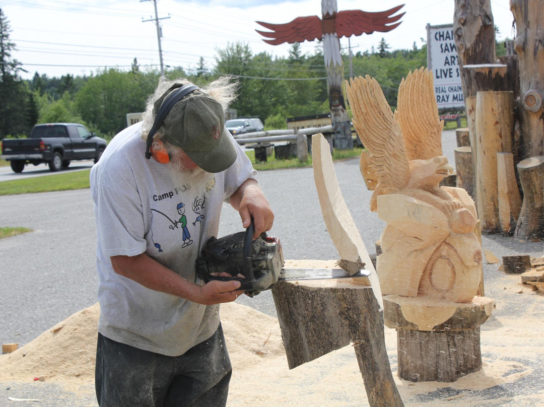 Wild Mountain Man Ray's Chainsaw Show景点图片