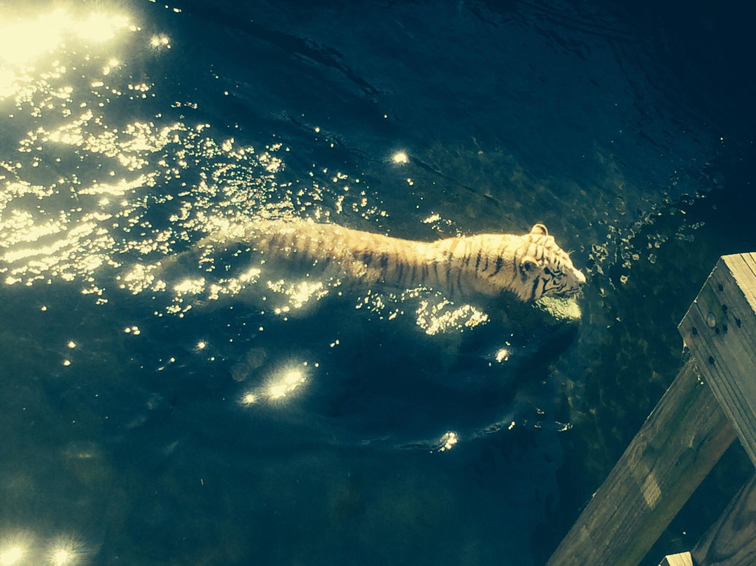 Temaiken Biopark-Belen de Escobar必去景点