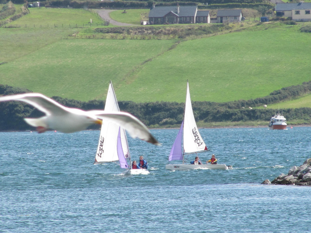 Dingle Sailing Club-丁格尔必去景点